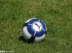 大乐透期号,专家推荐,帕尔蒂克客,pg游戏官网登录入口,PG电子最新官网,pg游戏官网登录入口,pg电子游戏app